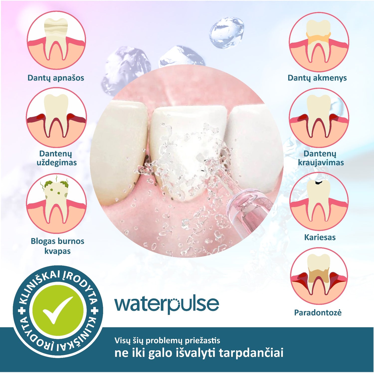 Stacionarus Irigatorius Waterpulse Family V300 - visai šeimai